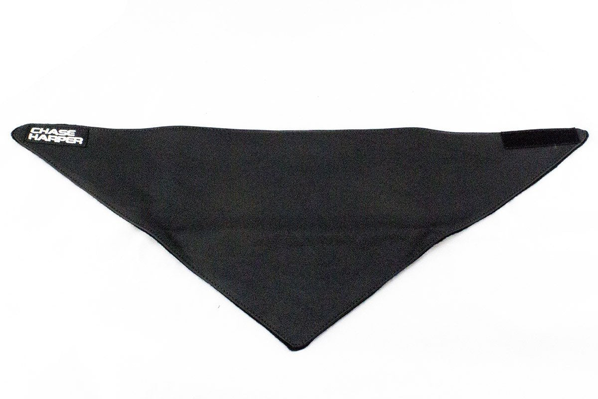 6150LR Leather Bandana